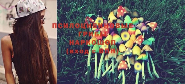 ПСИЛОЦИБИНОВЫЕ ГРИБЫ Семикаракорск