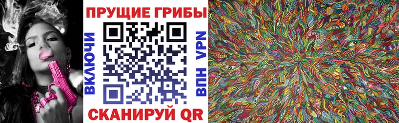 Купить закладки  Яблоновский  Псилоцибиновые грибы MAGIC MUSHROOMS 